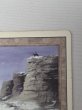 画像7: 《Plateau》[3ED] HP (7)