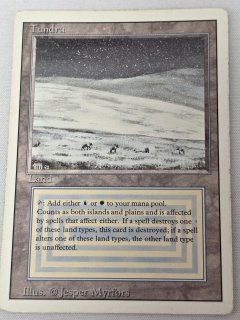MTG tundra 3ED FBB ドイツ語 1枚 Tundra - MTG専門店 Initiative