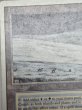 画像3: 《Tundra》[3ED] HP (3)