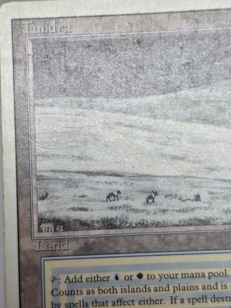 画像3: 《Tundra》[3ED] HP (3)