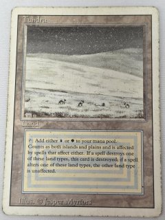 デュアルランド/Dual Land - MTG専門店 Initiative
