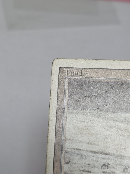 画像4: 《Tundra》[3ED] HP (4)