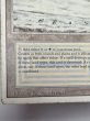 画像5: 《Tundra》[3ED] HP (5)