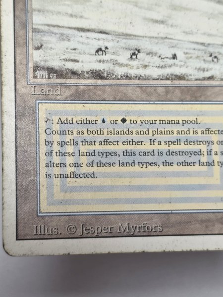 画像5: 《Tundra》[3ED] HP (5)