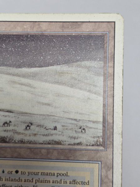 画像3: 《Tundra》[3ED] HP (3)