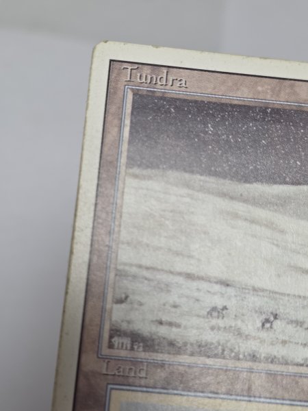 画像4: 《Tundra》[3ED] HP (4)