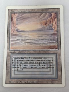 デュアルランド/Dual Land - MTG専門店 Initiative