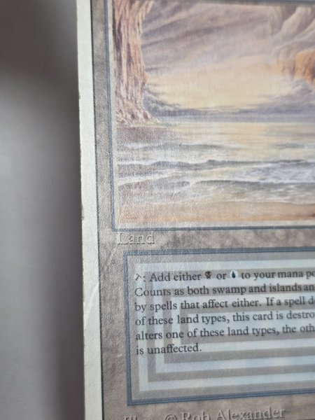 画像4: 《Underground Sea》[3ED] HP (4)
