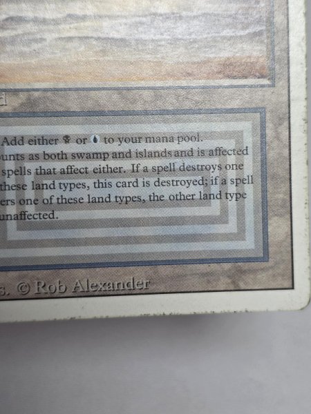 画像5: 《Underground Sea》[3ED] HP (5)