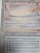画像3: 《Underground Sea》[3ED] MP (3)
