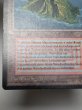 画像5: ドイツ語 《Volcanic Island》[FBB] MP (5)