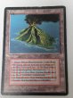 画像1: ドイツ語 《Volcanic Island》[FBB] HP (1)
