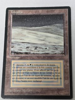 デュアルランド/Dual Land - MTG専門店 Initiative