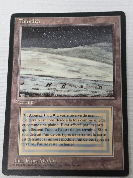 画像1: フランス語《Tundra》[FBB] MP (1)