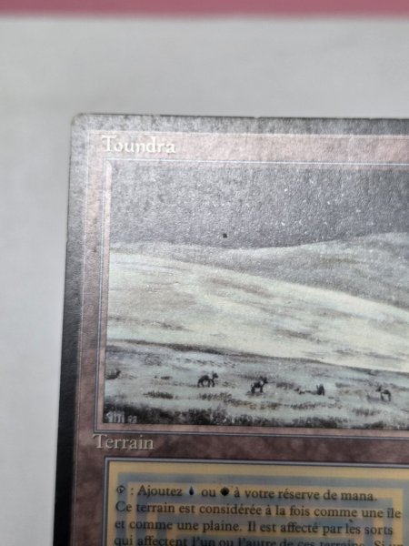 画像3: フランス語《Tundra》[FBB] MP (3)