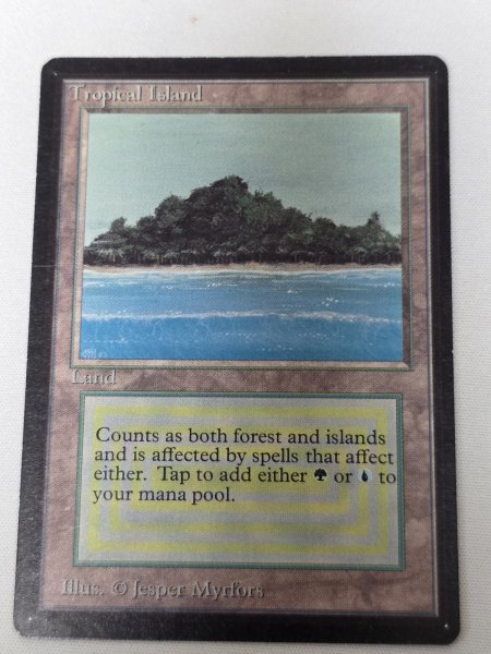 画像1: 《Tropical Island》[LEB] MP (1)