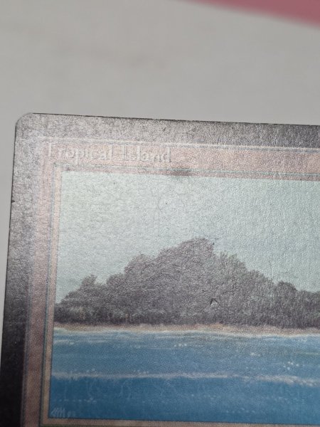 画像3: 《Tropical Island》[LEB] MP (3)