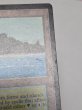 画像4: 《Tropical Island》[LEB] MP (4)