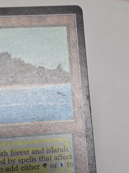 画像4: 《Tropical Island》[LEB] MP (4)