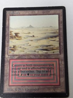 デュアルランド/Dual Land - MTG専門店 Initiative
