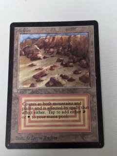 Plateau - MTG専門店 Initiative