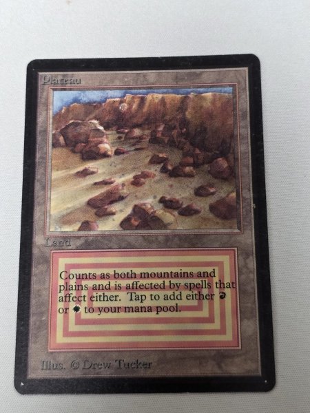 画像1: 《Plateau》[LEB] MP (1)