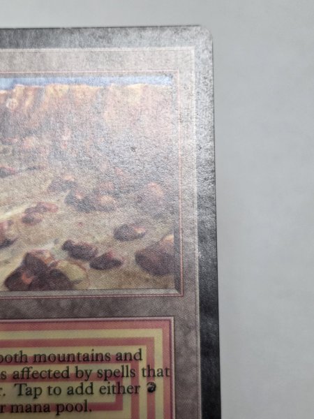 画像3: 《Plateau》[LEB] MP (3)