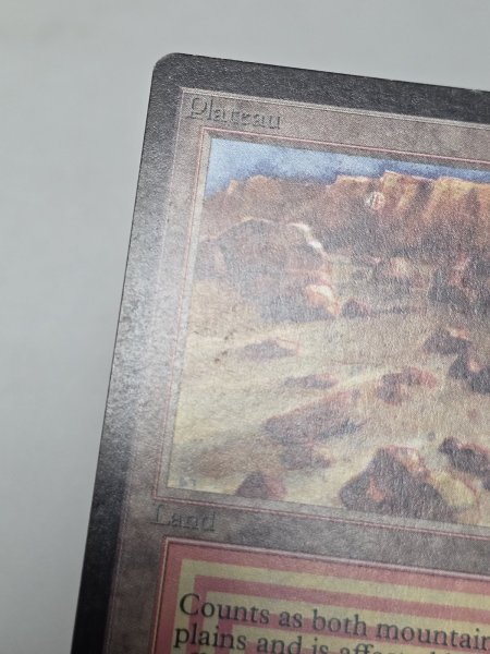画像4: 《Plateau》[LEB] MP (4)