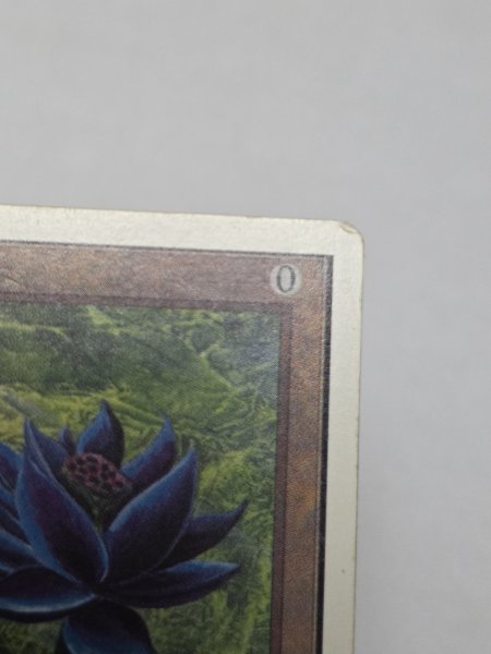 画像3: 《Black Lotus》[2ED] HP (3)