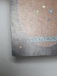 画像7: 《Mox Pearl》[2ED] HP (7)