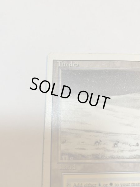 画像2: 《Tundra》3ED MP (2)