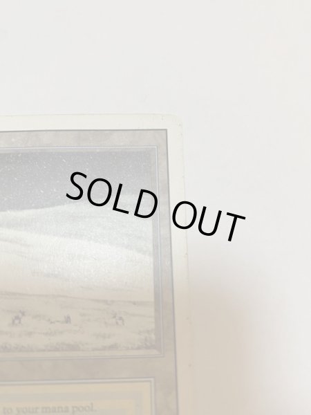 画像3: 《Tundra》3ED MP (3)