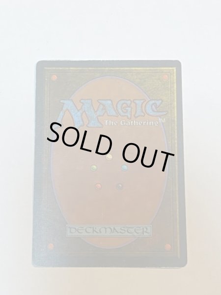 画像6: 《Tundra》3ED MP (6)