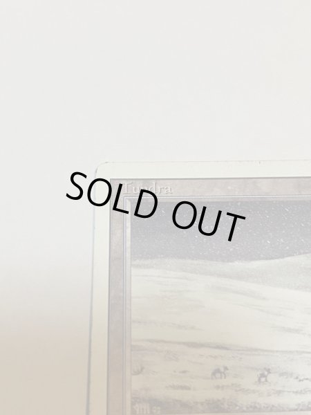 画像2: 《Tundra》3ED MP (2)