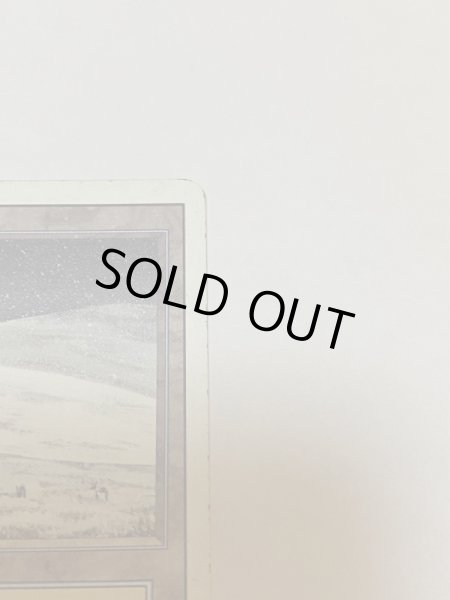 画像3: 《Tundra》3ED MP (3)