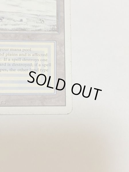 画像4: 《Tundra》3ED MP (4)