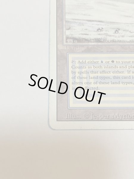 画像5: 《Tundra》3ED MP (5)