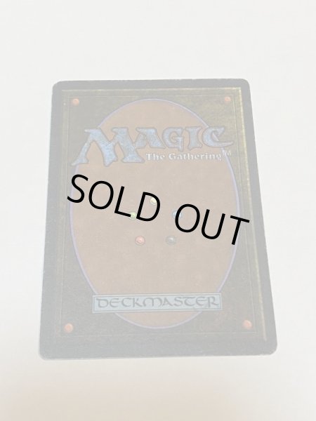 画像6: 《Tundra》3ED MP (6)