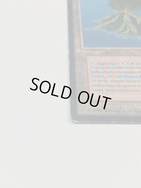 画像5: 《Volcanic Island》FBB HP イタリア語 (5)