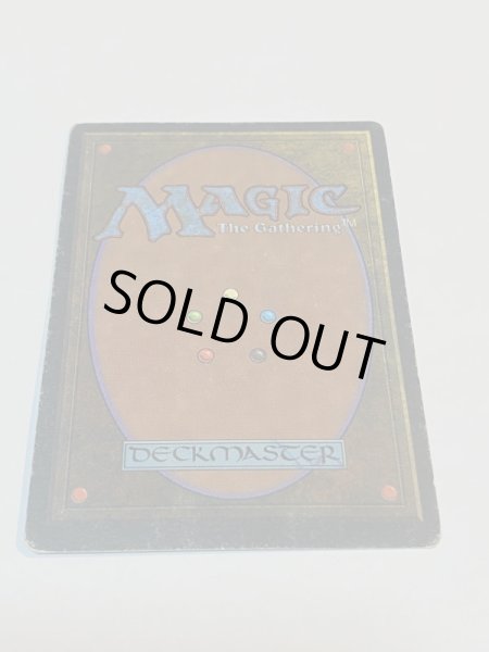 画像6: 《Volcanic Island》FBB HP イタリア語 (6)