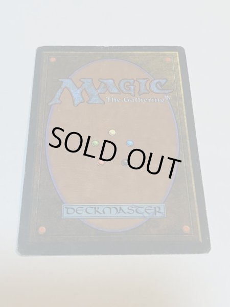 画像6: 《Volcanic Island》FBB HP イタリア語 (6)