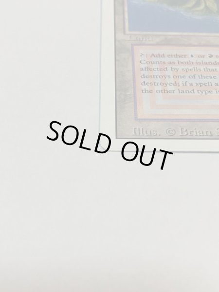 画像4: 《Volcanic Island》3ED SP (4)