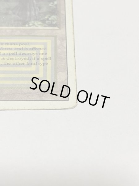 画像4: 《Bayou》3ED Poor (4)