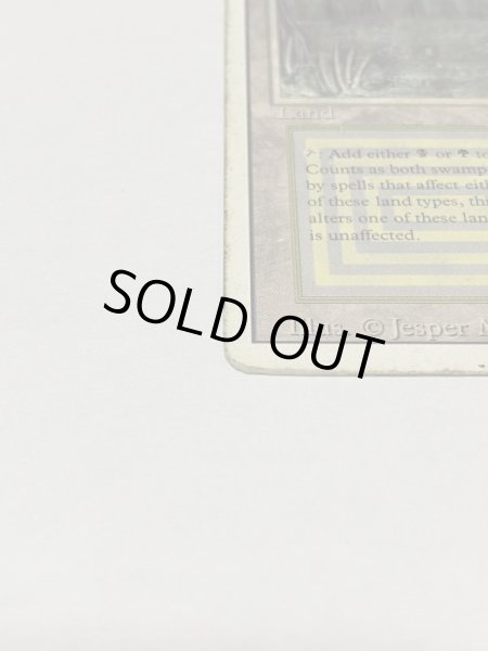 画像5: 《Bayou》3ED Poor (5)