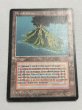 画像1: 《Volcanic Island》[3EDBB] フランス語 MP (1)