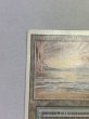 画像2: 《Underground Sea》3ED MP (2)