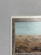 画像2: 《Scrubland》[3ED] MP (2)