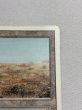 画像3: 《Scrubland》[3ED] MP (3)