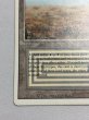 画像4: 《Scrubland》[3ED] MP (4)