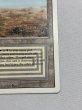 画像5: 《Scrubland》[3ED] MP (5)